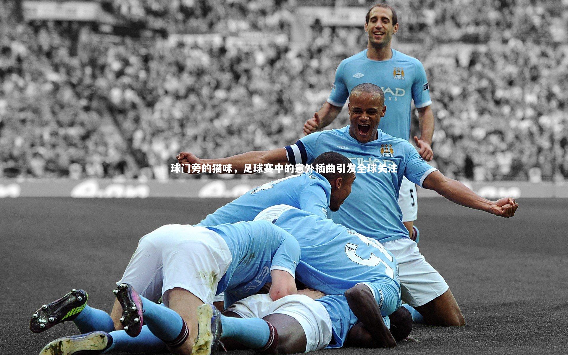 球门旁的猫咪，足球赛中的意外插曲引发全球关注